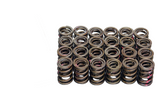 BJ 15953-ZEROSPORTS 85lbs Dual Valve Springs Set of 24 for Nissan Patrol Y61 TB48DE 4.8L DOHC