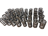 BJ 16260-ZEROSPORT Dual Valve Springs for a Toyota 3RZ-FE - 11.10lbs/mm